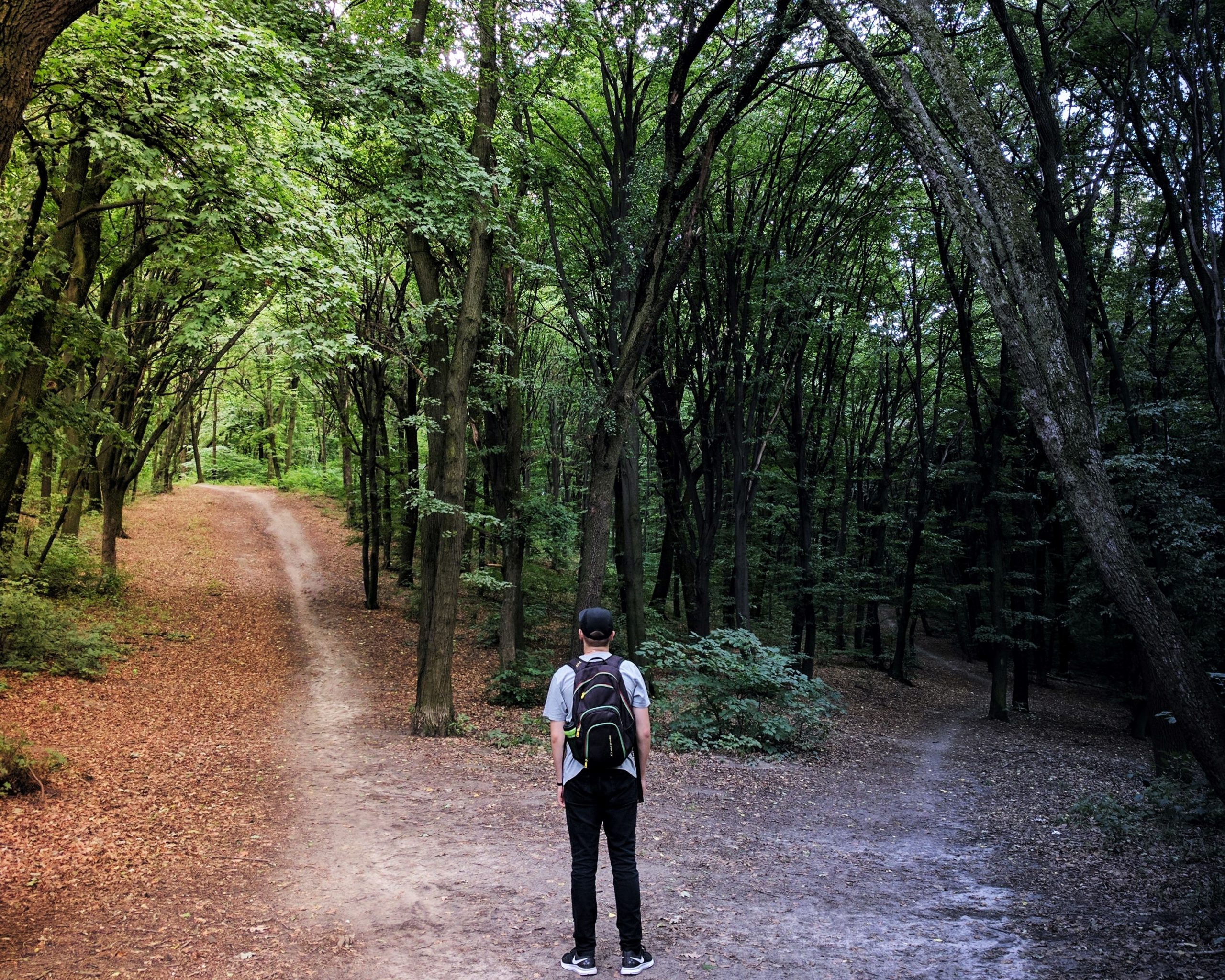 Good Decisions Require More Than Just Trusting Your Gut