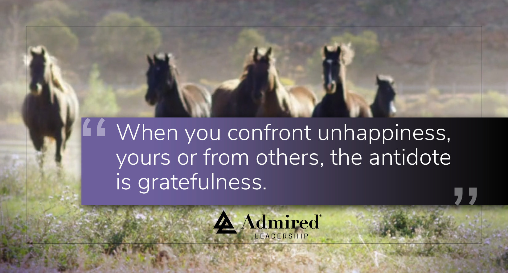 Where the Struggle Ends