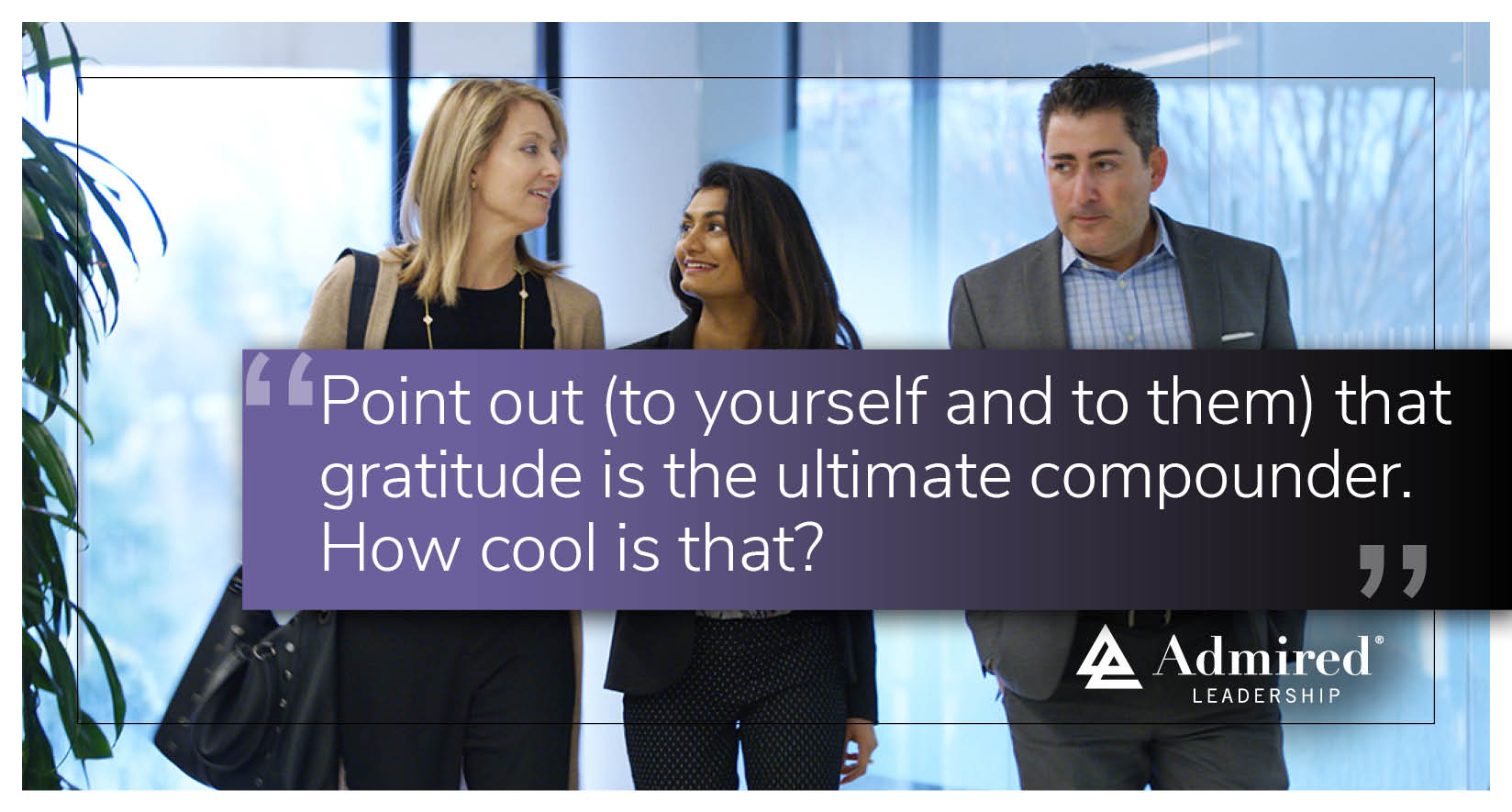 Gratitude Is the Ultimate Compounder