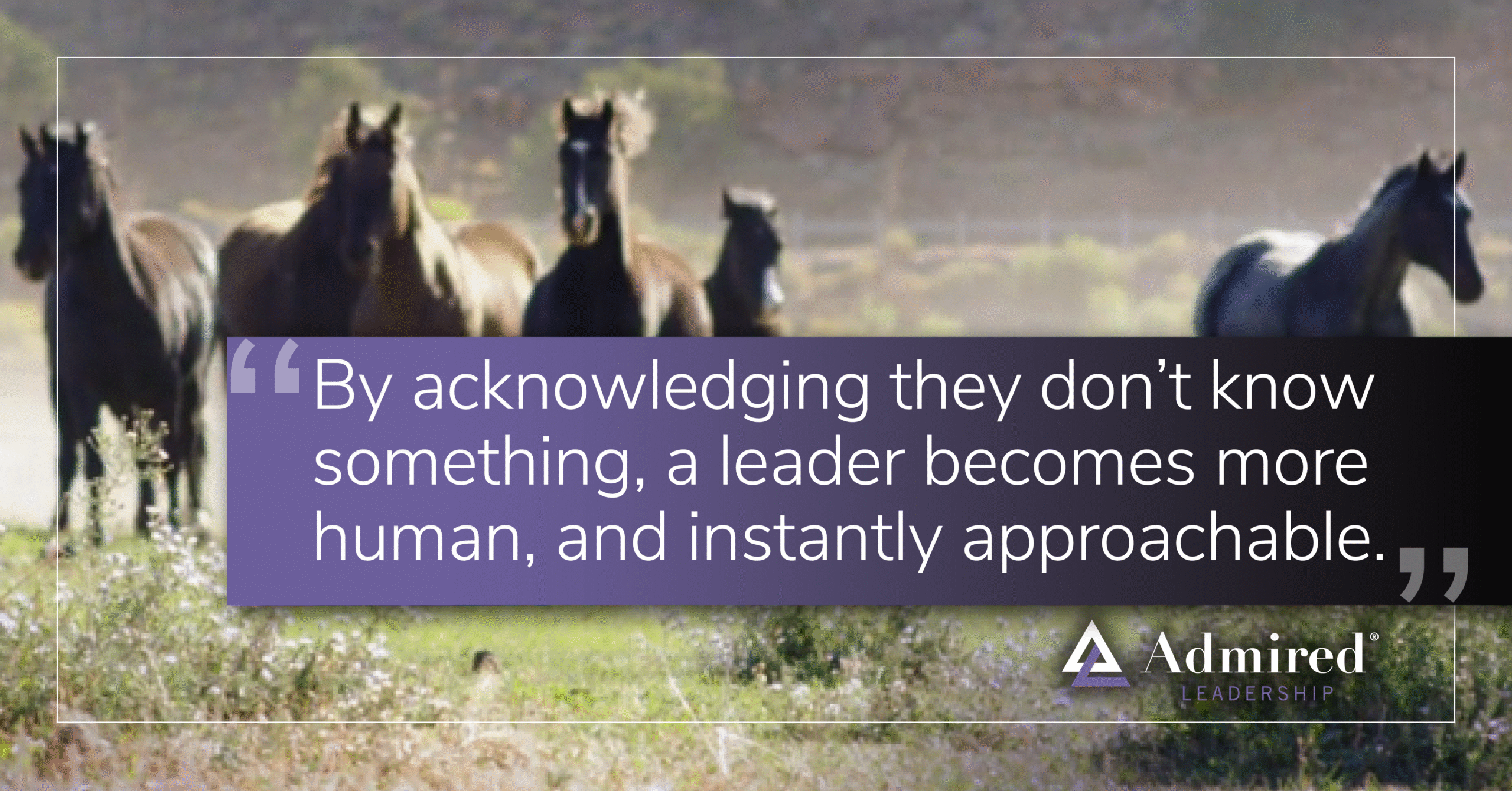 Pair Candor With Curiosity