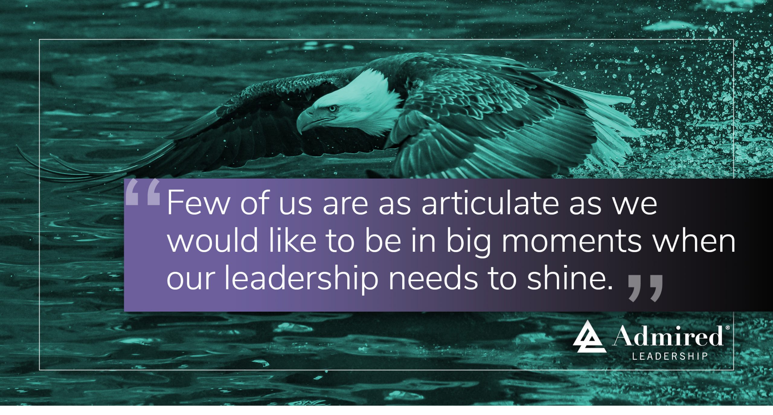 Not Winging It Looks Like This