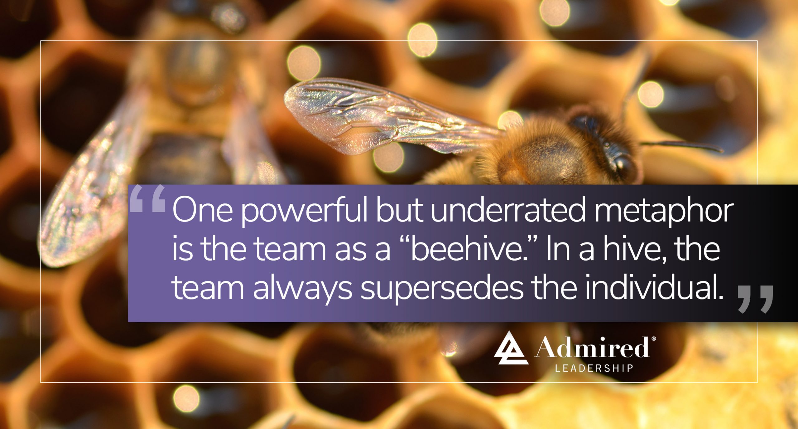 What Metaphor Guides Your Team? Admired Leadership