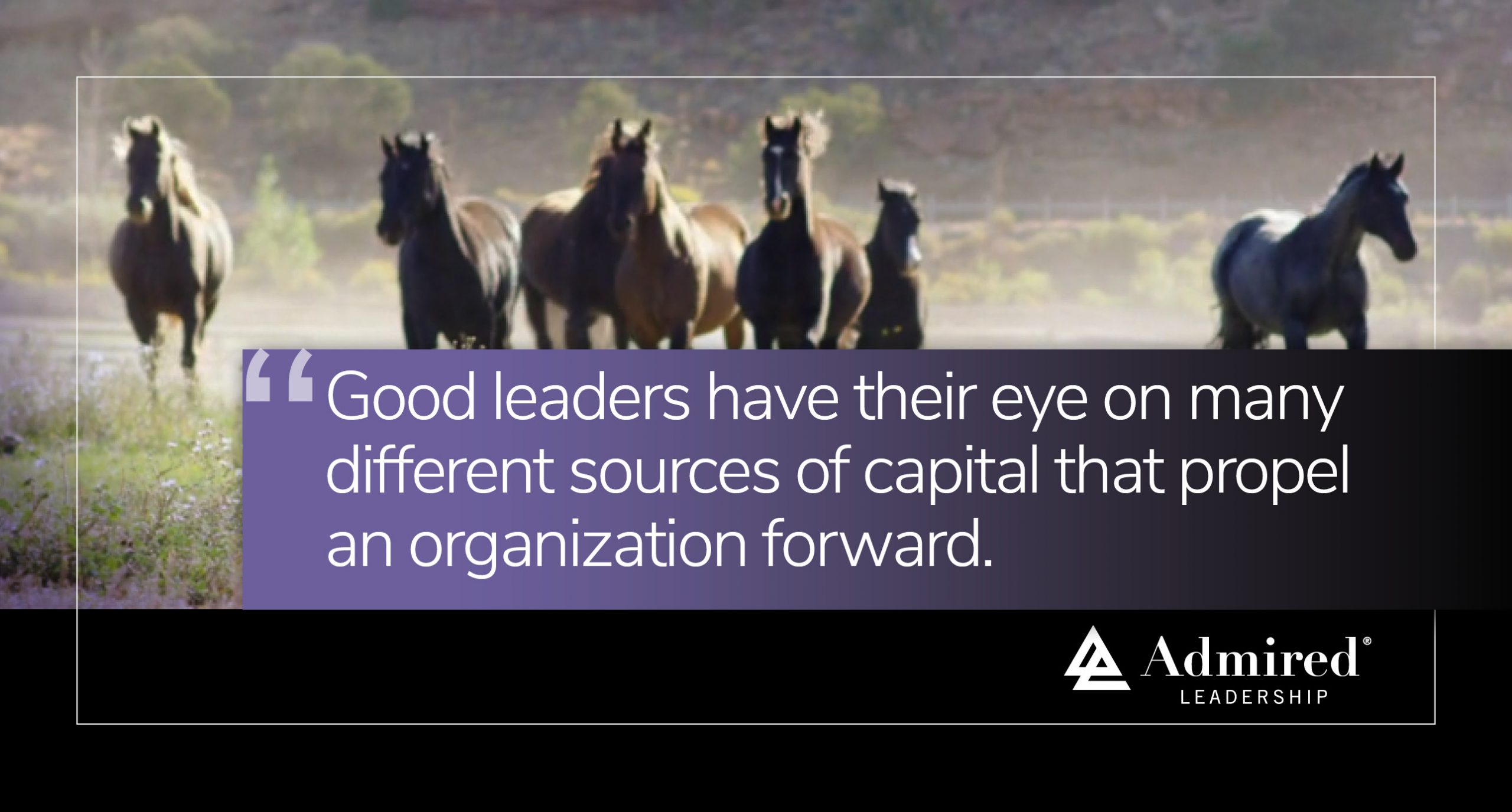 How Strong Is Your Capital Balance Sheet?