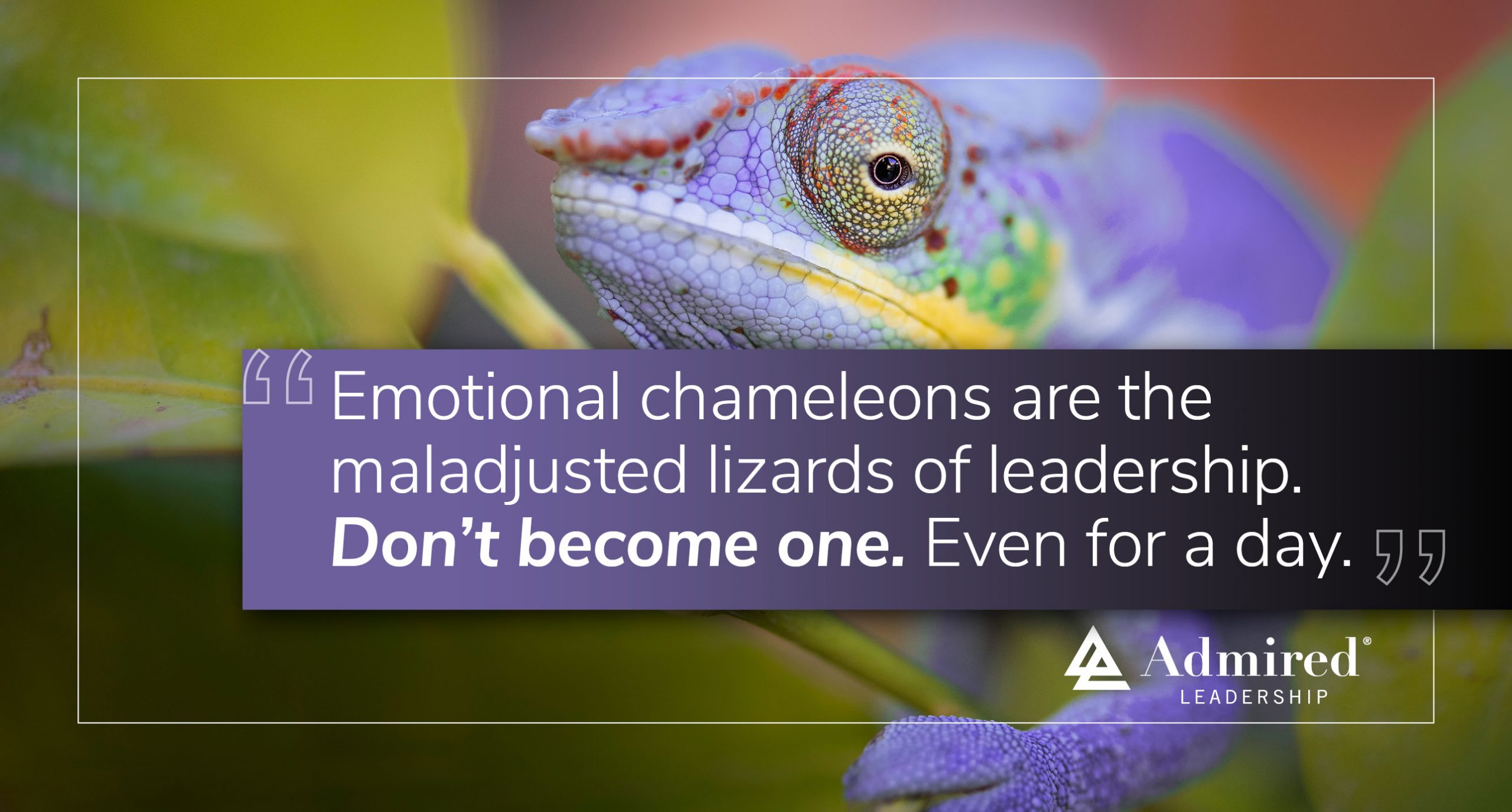 The Maladjusted Lizards of Leadership