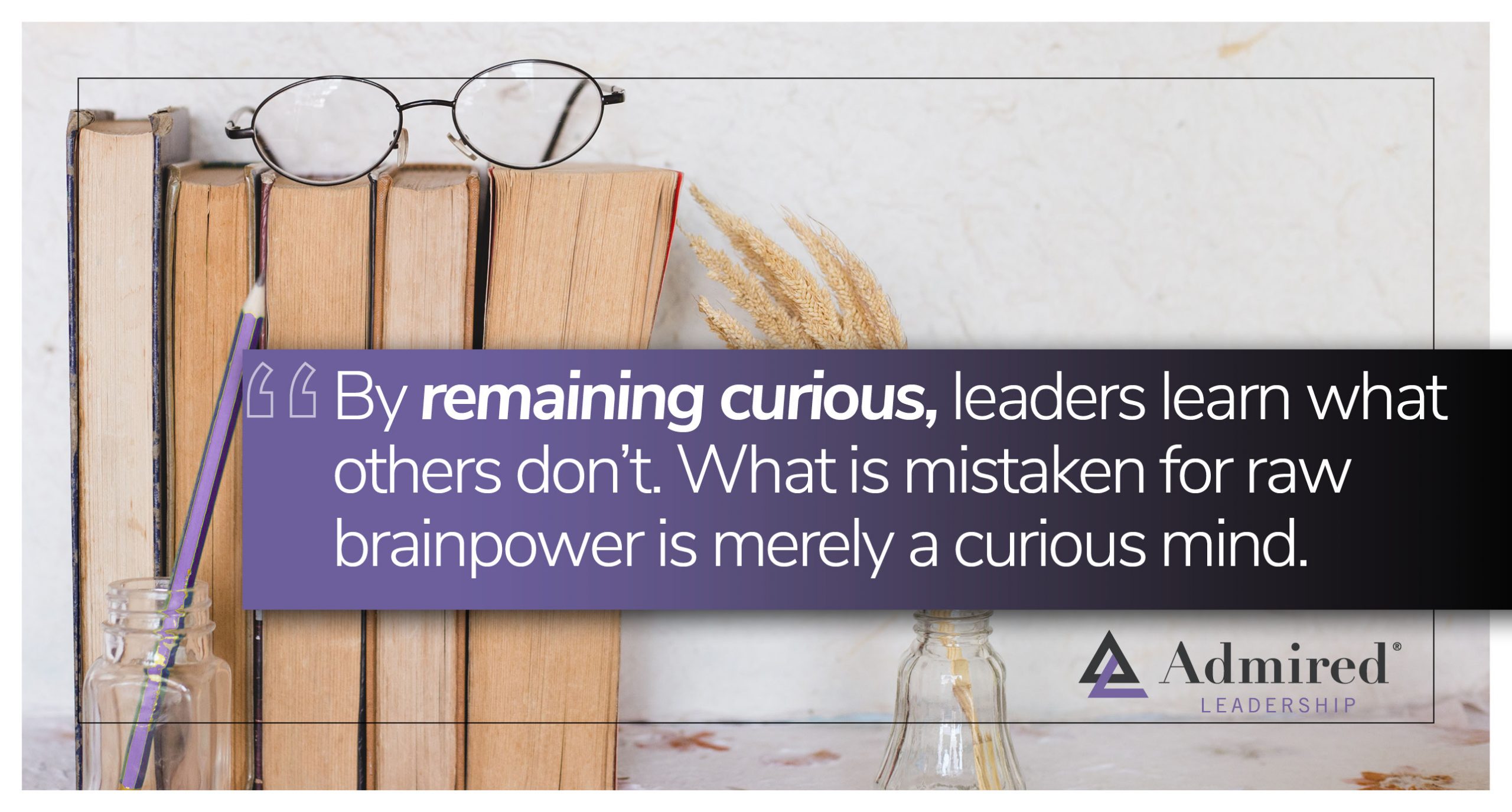 Stay in the Question