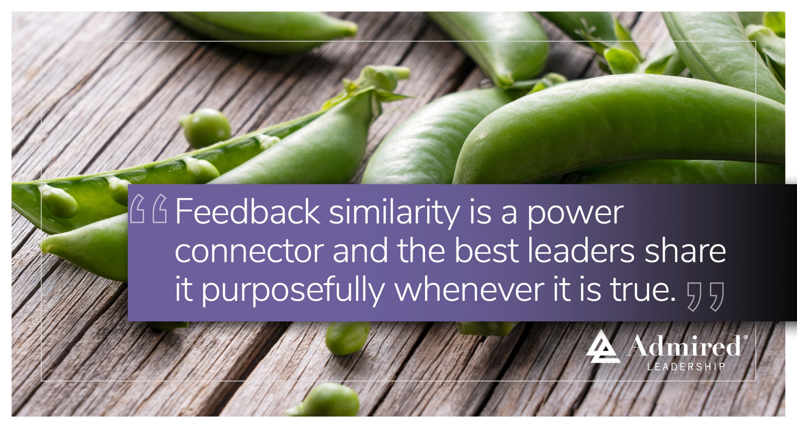 I Received the Same Feedback as You