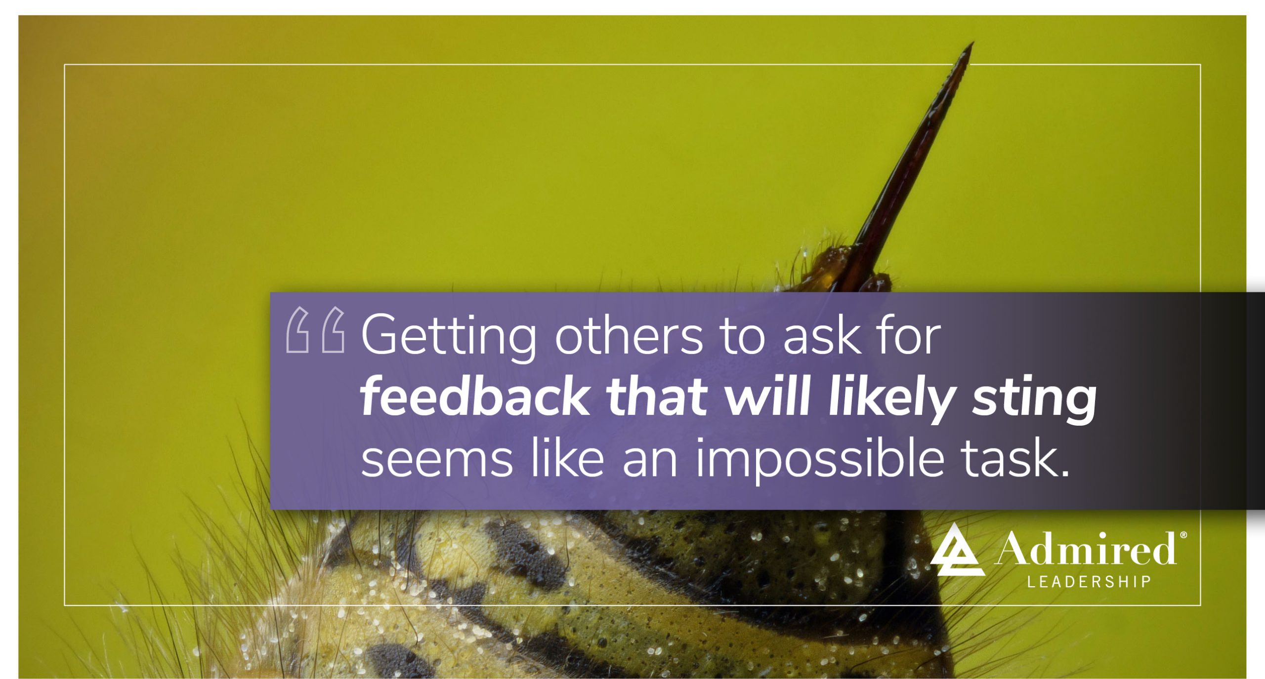 Be Reluctant to Offer Delicate Feedback
