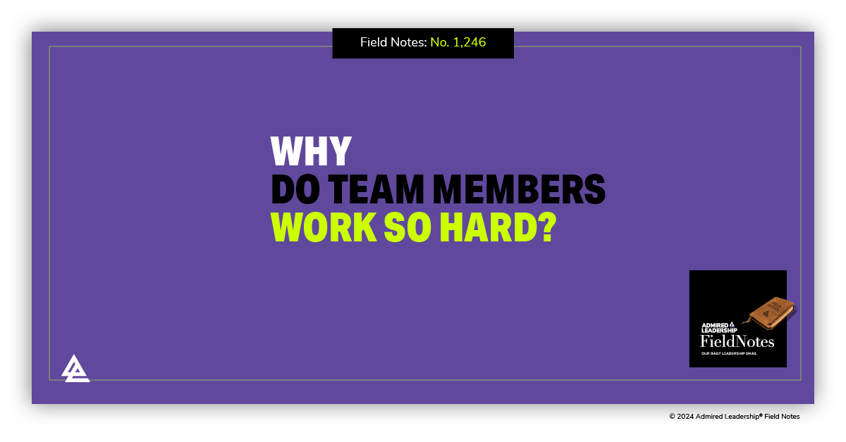 Why Do Team Members Work So Hard?