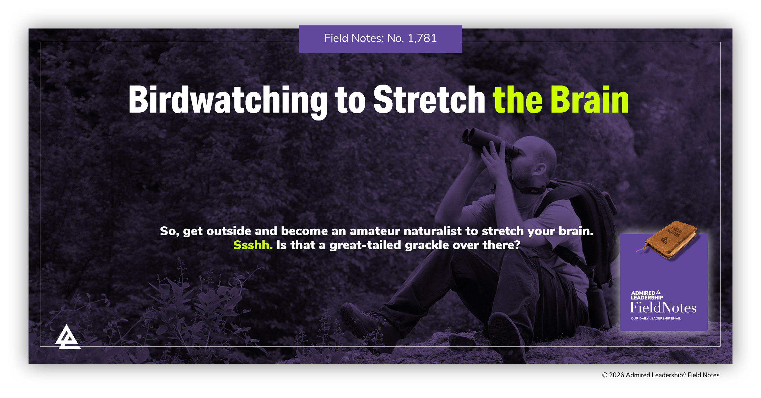 Birdwatching to Stretch the Brain